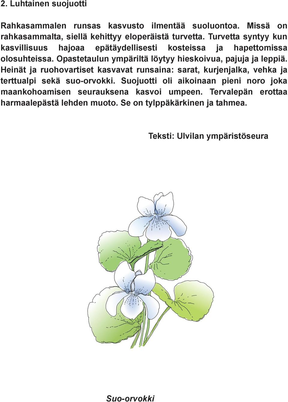 Opastetaulun ympäriltä löytyy hieskoivua, pajuja ja leppiä.