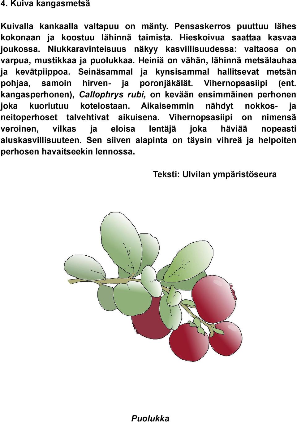 Seinäsammal ja kynsisammal hallitsevat metsän pohjaa, samoin hirven- ja poronjäkälät. Vihernopsasiipi (ent.