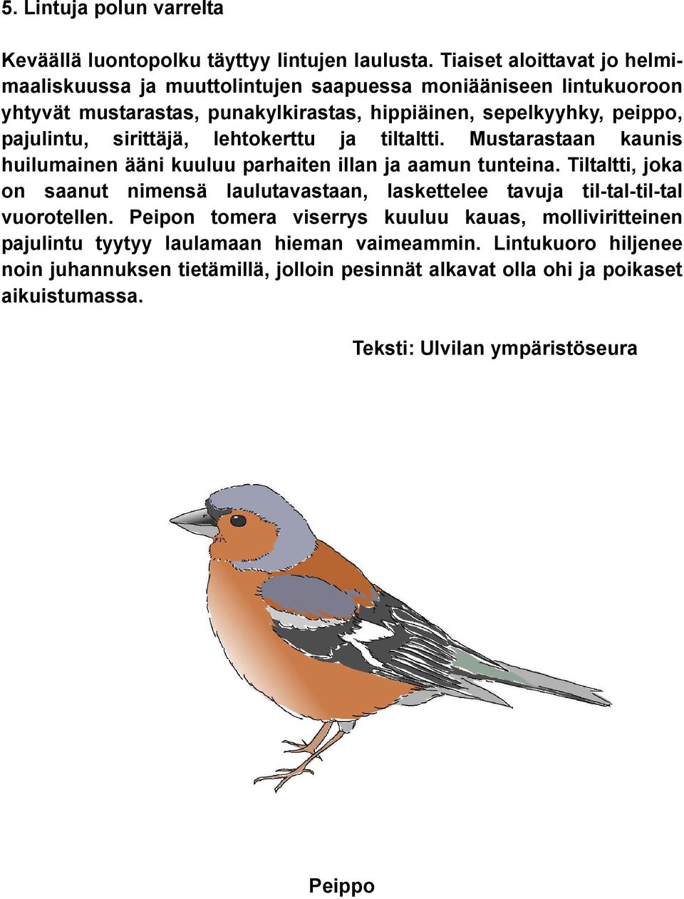 pajulintu, sirittäjä, lehtokerttu ja tiltaltti. Mustarastaan kaunis huilumainen ääni kuuluu parhaiten illan ja aamun tunteina.