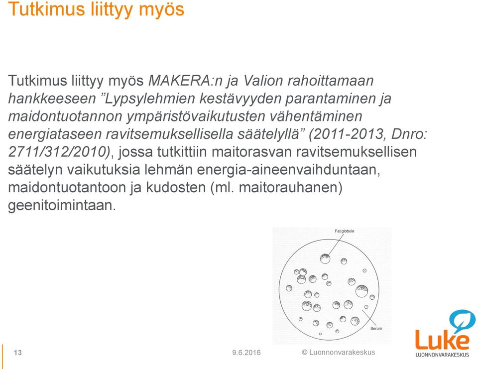 ravitsemuksellisella säätelyllä (2011-2013, Dnro: 2711/312/2010), jossa tutkittiin maitorasvan