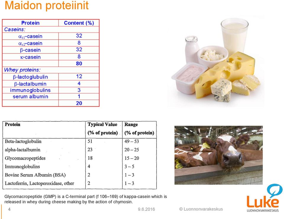 kappa-casein which is released in whey