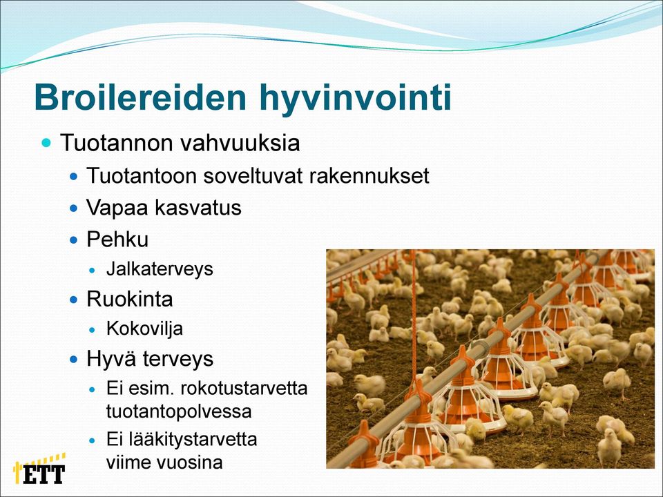 Jalkaterveys Ruokinta Kokovilja Hyvä terveys Ei esim.