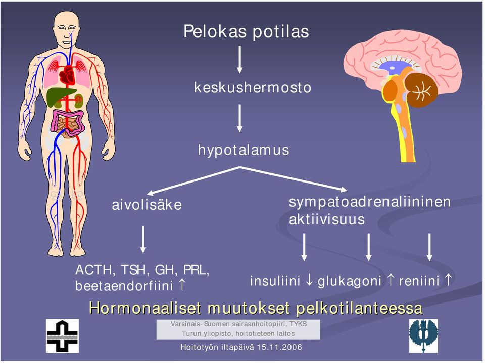ACTH, TSH, GH, PRL, beetaendorfiini insuliini