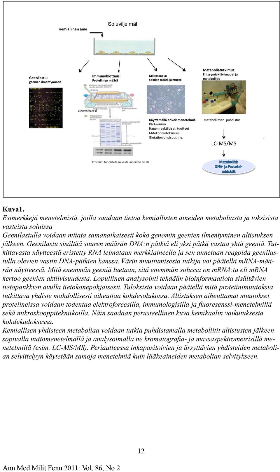 metabolii*en puhdistus LC MS/MS Proteiini tunnistetaan vasta aineiden avulla Kuva1.