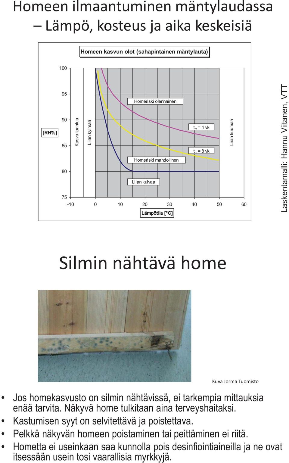 Kuva Jorma Tuomisto Jos homekasvusto on silmin nähtävissä, ei tarkempia mittauksia enää tarvita. Näkyvä home tulkitaan aina terveyshaitaksi.