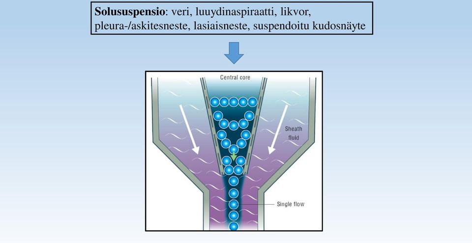 pleura-/askitesneste,