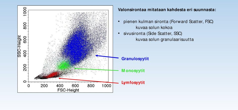 solun kokoa sivusironta (Side Scatter, SSC) kuvaa