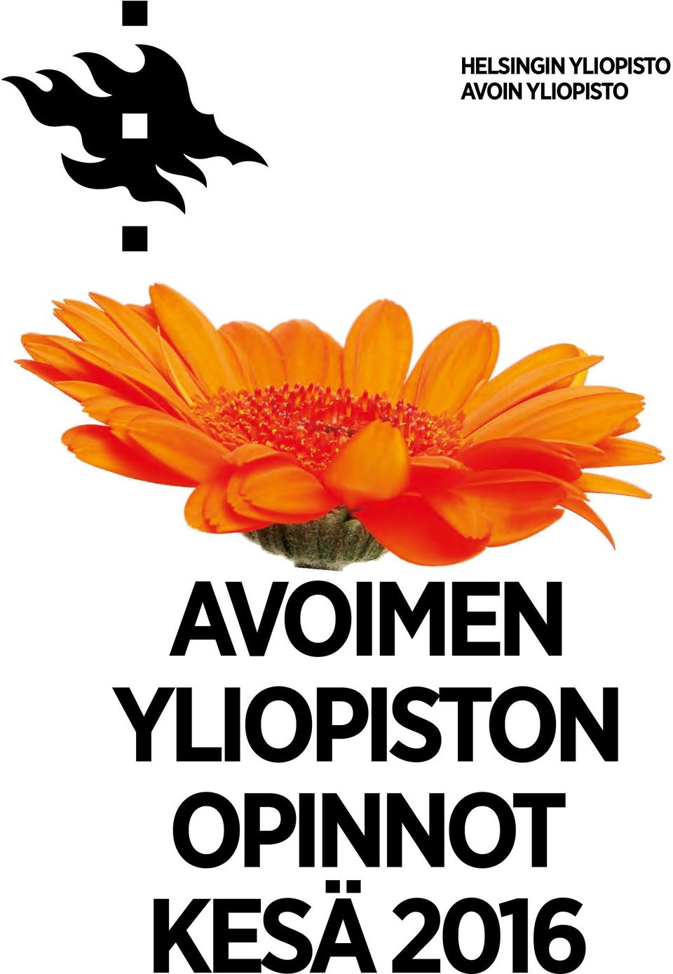 YLIOPISTO AVOIMEN