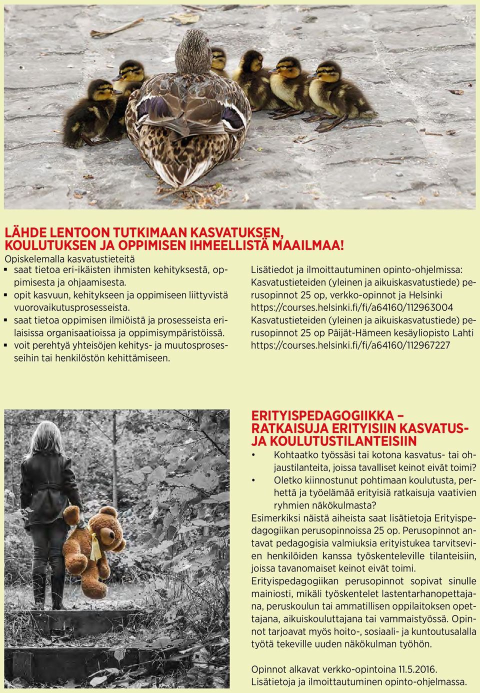 saat tietoa oppimisen ilmiöistä ja prosesseista erilaisissa organisaatioissa ja oppimisympäristöissä. voit perehtyä yhteisöjen kehitys- ja muutosprosesseihin tai henkilöstön kehittämiseen.