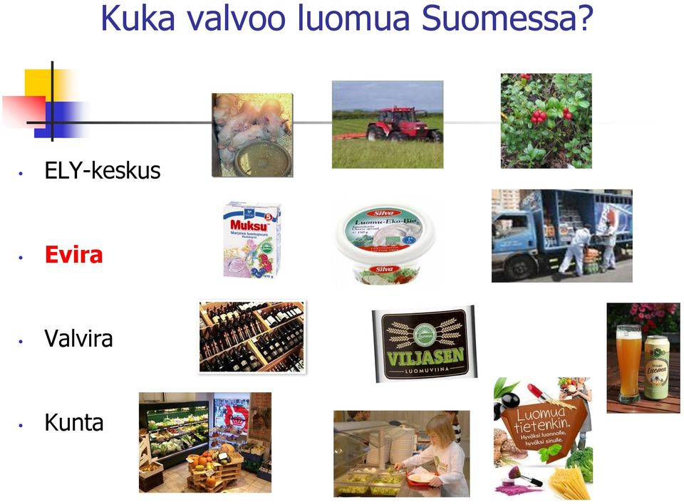 Suomessa?