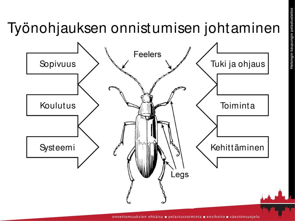 Sopivuus Tuki ja ohjaus