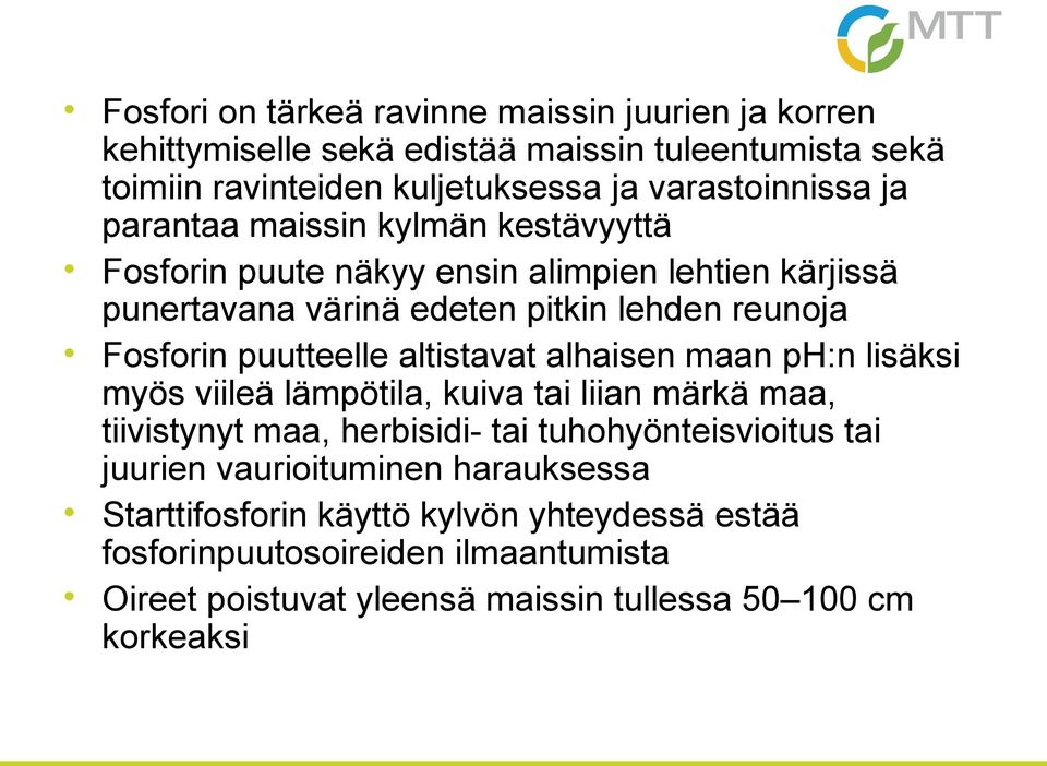 altistavat alhaisen maan ph:n lisäksi myös viileä lämpötila, kuiva tai liian märkä maa, tiivistynyt maa, herbisidi- tai tuhohyönteisvioitus tai juurien