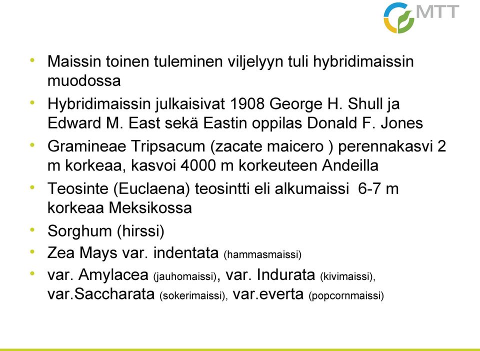 Jones Gramineae Tripsacum (zacate maicero ) perennakasvi 2 m korkeaa, kasvoi 4000 m korkeuteen Andeilla Teosinte (Euclaena)