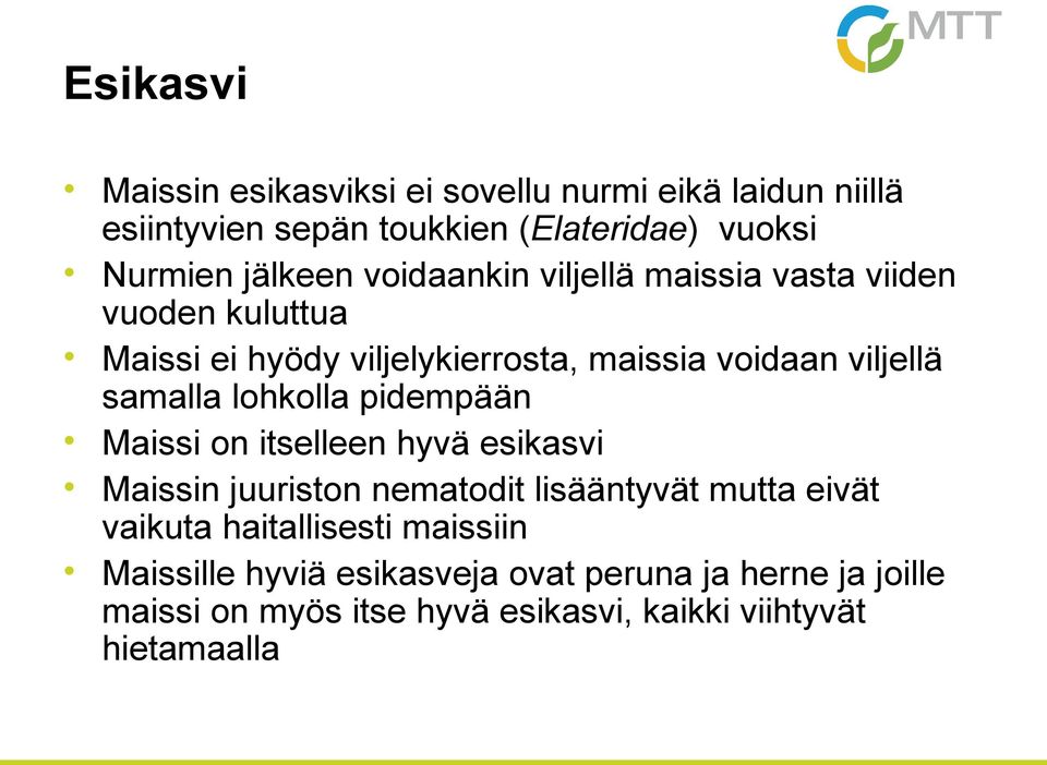 lohkolla pidempään Maissi on itselleen hyvä esikasvi Maissin juuriston nematodit lisääntyvät mutta eivät vaikuta haitallisesti