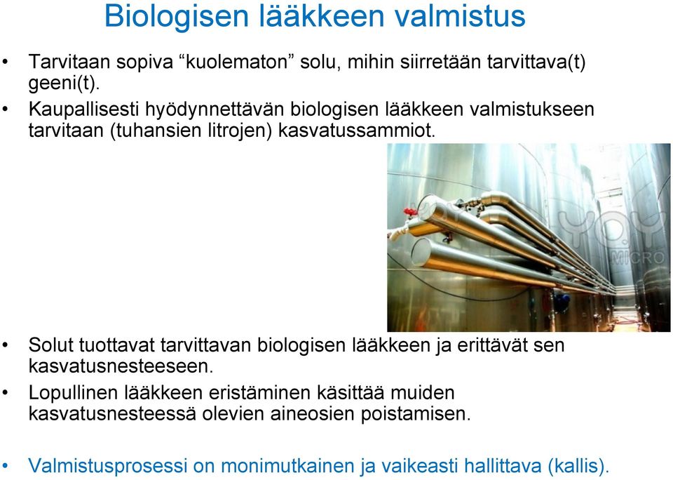 Solut tuottavat tarvittavan biologisen lääkkeen ja erittävät sen kasvatusnesteeseen.