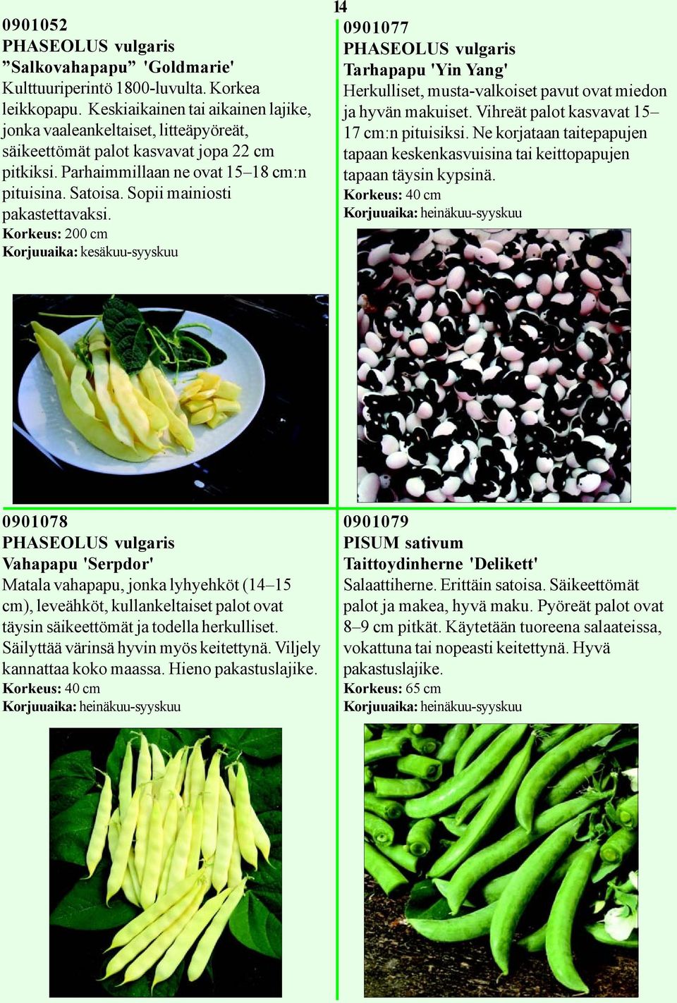 Sopii mainiosti pakastettavaksi. Korkeus: 200 cm Korjuuaika: kesäkuu-syyskuu 14 0901077 PHASEOLUS vulgaris Tarhapapu 'Yin Yang' Herkulliset, musta-valkoiset pavut ovat miedon ja hyvän makuiset.