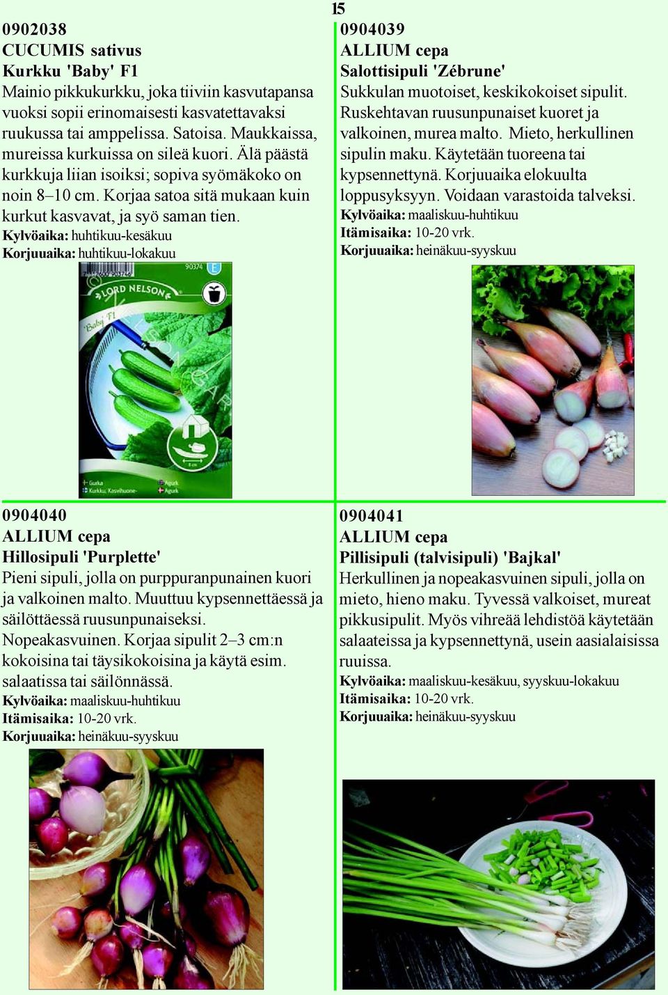 Kylvöaika: huhtikuu-kesäkuu Korjuuaika: huhtikuu-lokakuu 15 0904039 ALLIUM cepa Salottisipuli 'Zébrune' Sukkulan muotoiset, keskikokoiset sipulit.