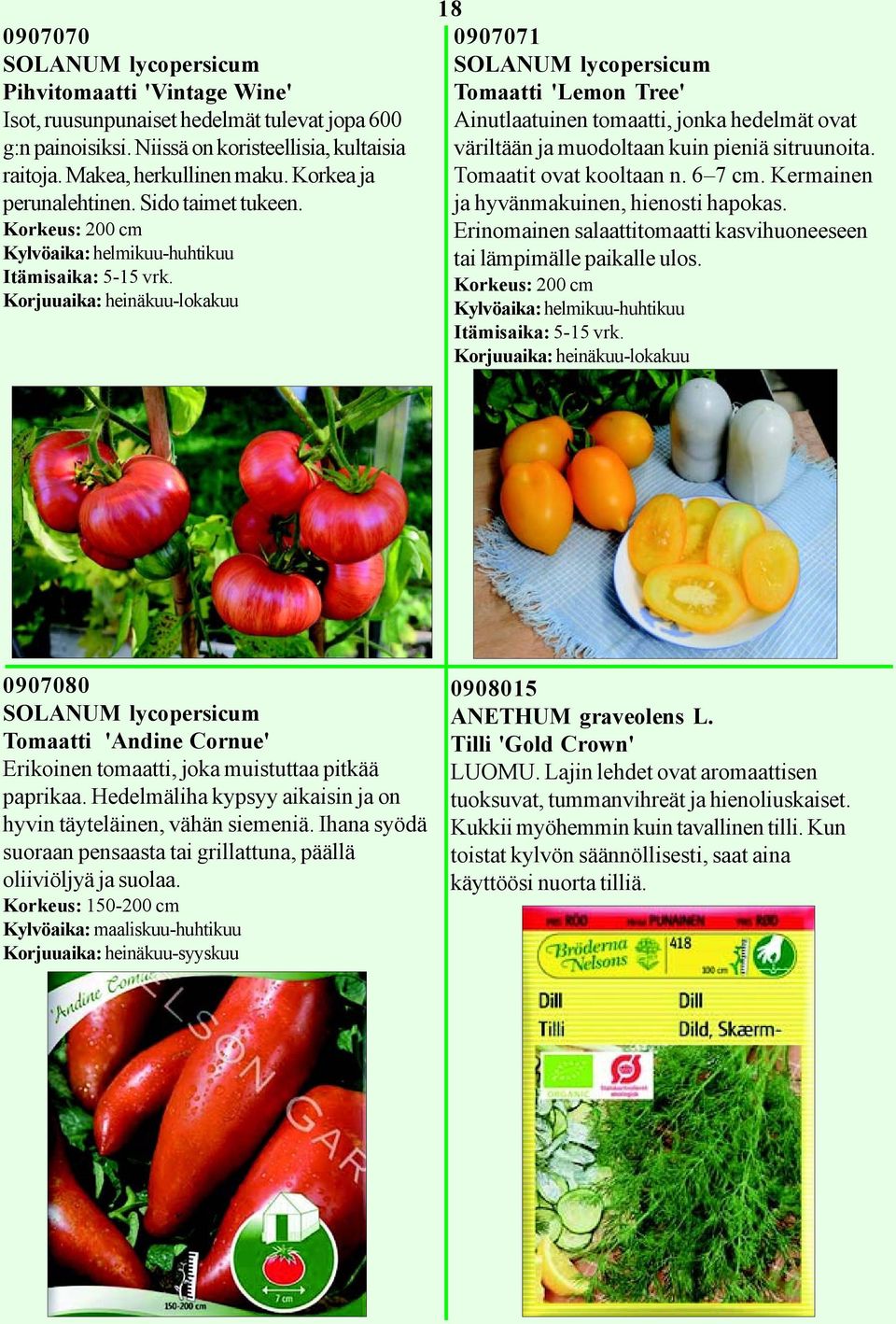 Korkeus: 200 cm Kylvöaika: helmikuu-huhtikuu Korjuuaika: heinäkuu-lokakuu 18 0907071 SOLANUM lycopersicum Tomaatti 'Lemon Tree' Ainutlaatuinen tomaatti, jonka hedelmät ovat väriltään ja muodoltaan