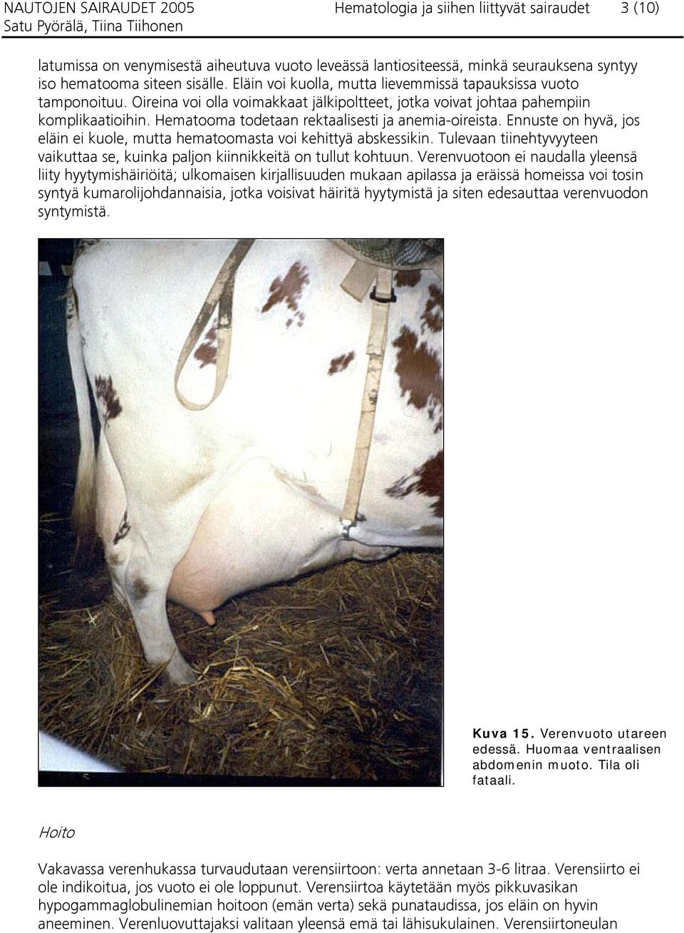 Hematooma todetaan rektaalisesti ja anemia-oireista. Ennuste on hyvä, jos eläin ei kuole, mutta hematoomasta voi kehittyä abskessikin.