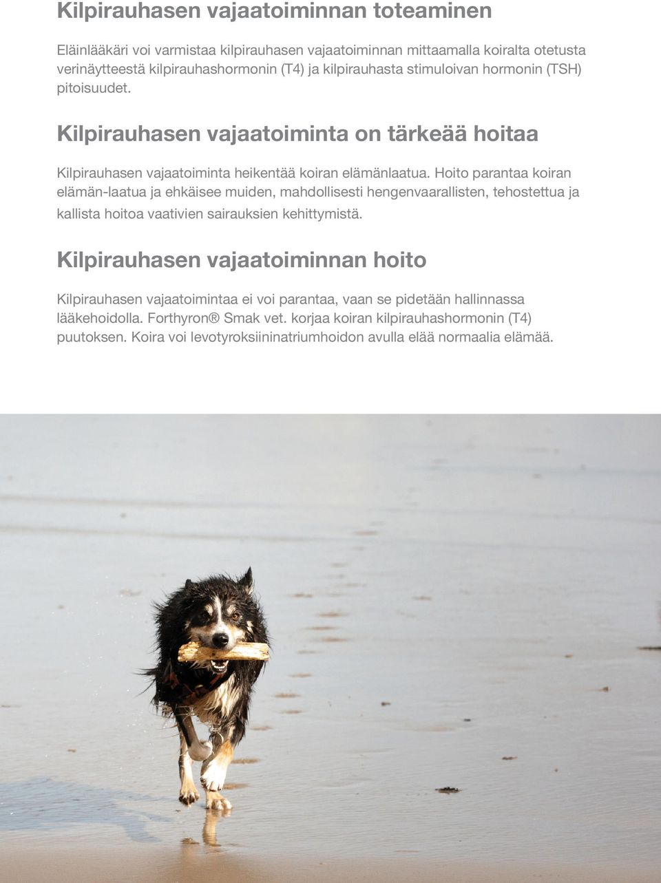 Hoito parantaa koiran elämän-laatua ja ehkäisee muiden, mahdollisesti hengenvaarallisten, tehostettua ja kallista hoitoa vaativien sairauksien kehittymistä.
