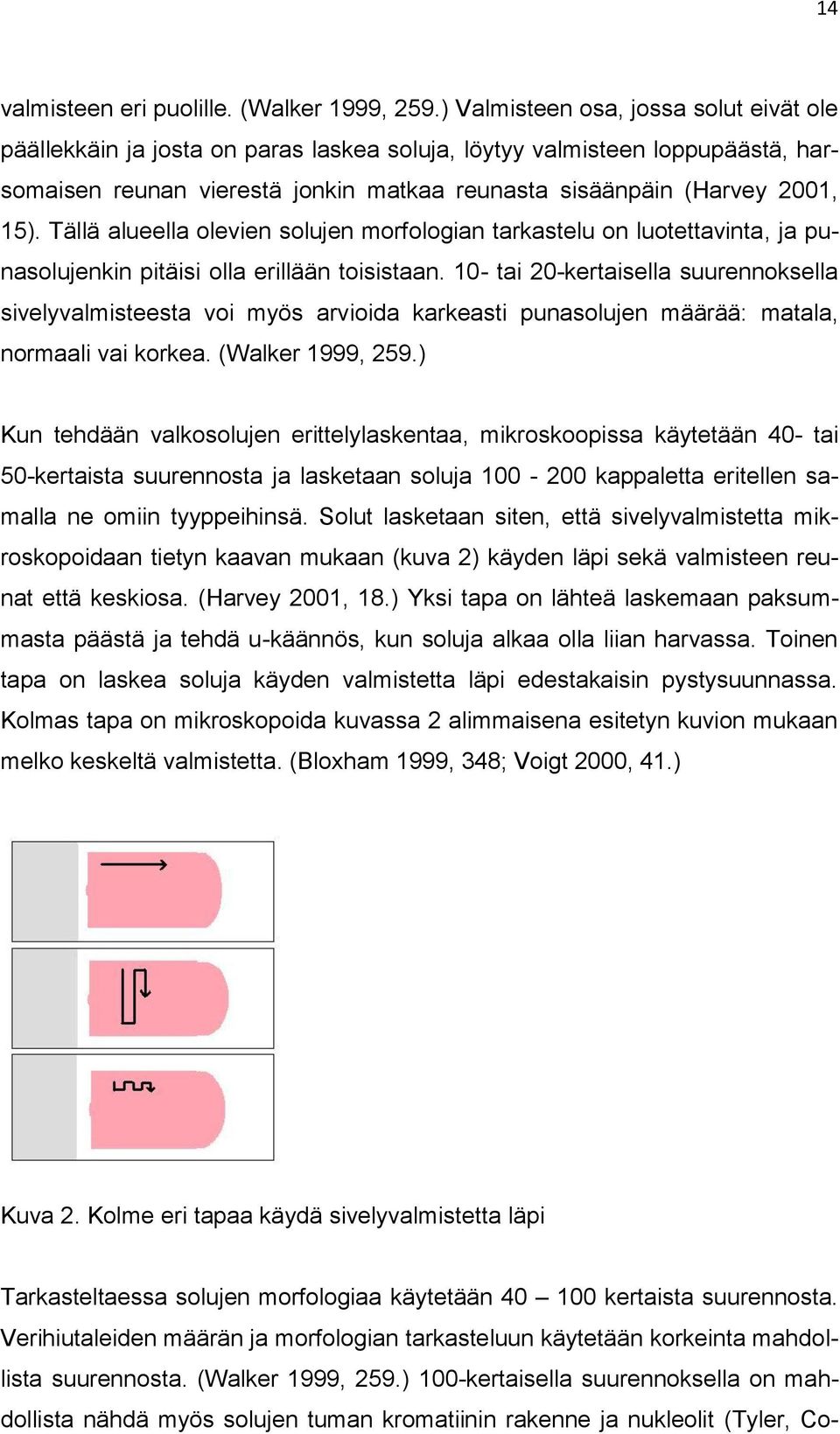 Tällä alueella olevien solujen morfologian tarkastelu on luotettavinta, ja punasolujenkin pitäisi olla erillään toisistaan.