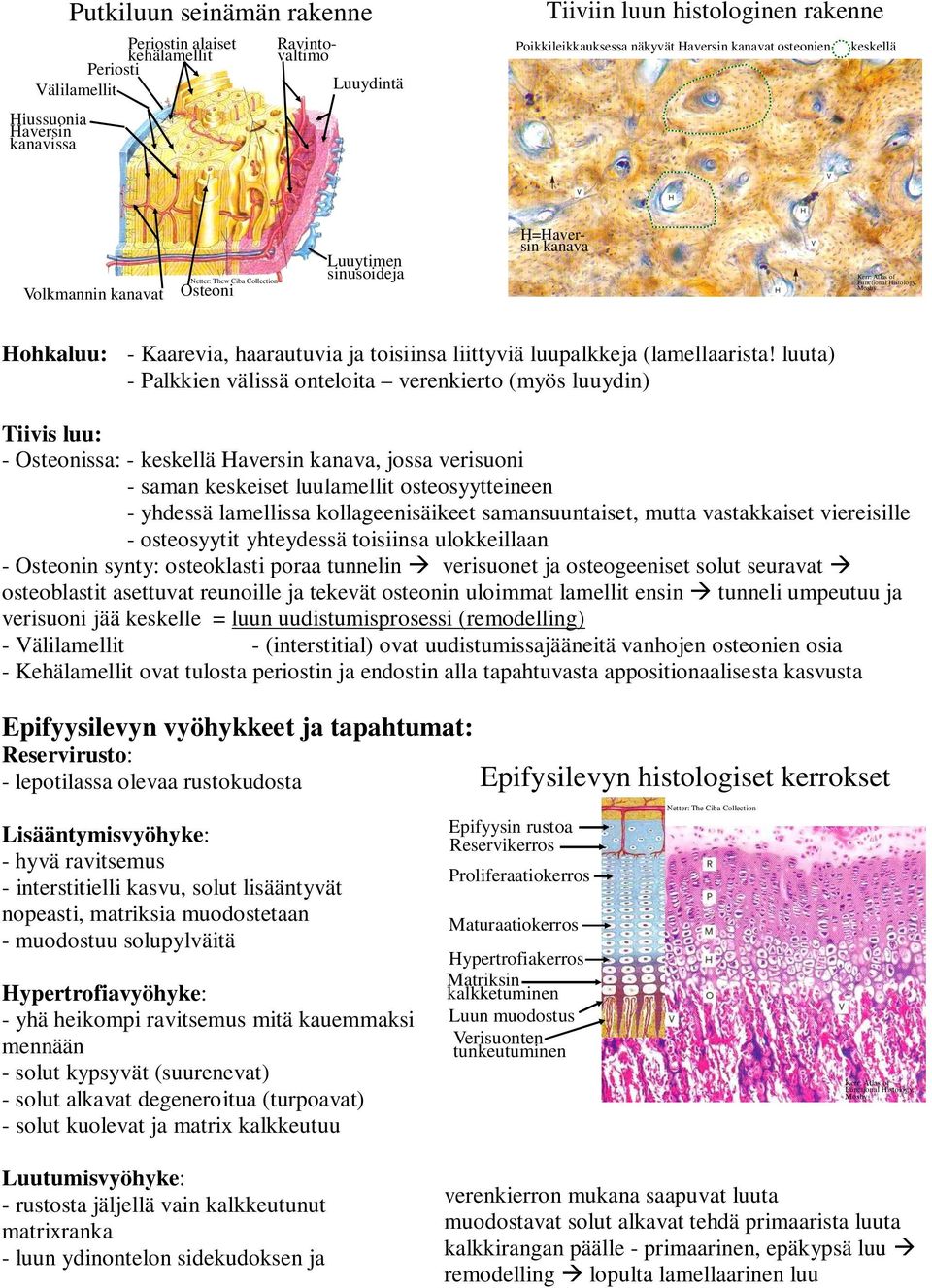 luupalkkeja (lamellaarista!