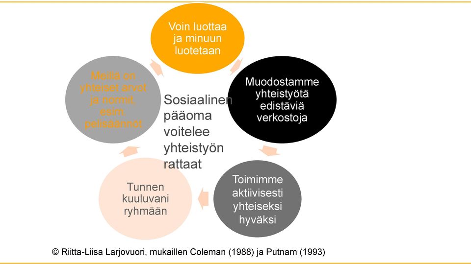 Sosiaalinen pääoma voitelee yhteistyön rattaat Muodostamme yhteistyötä