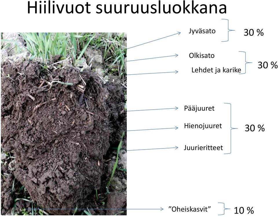 karike 30 % 30 % Pääjuuret