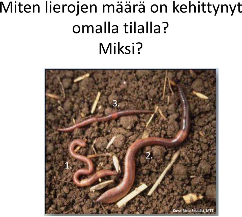 kehittynyt