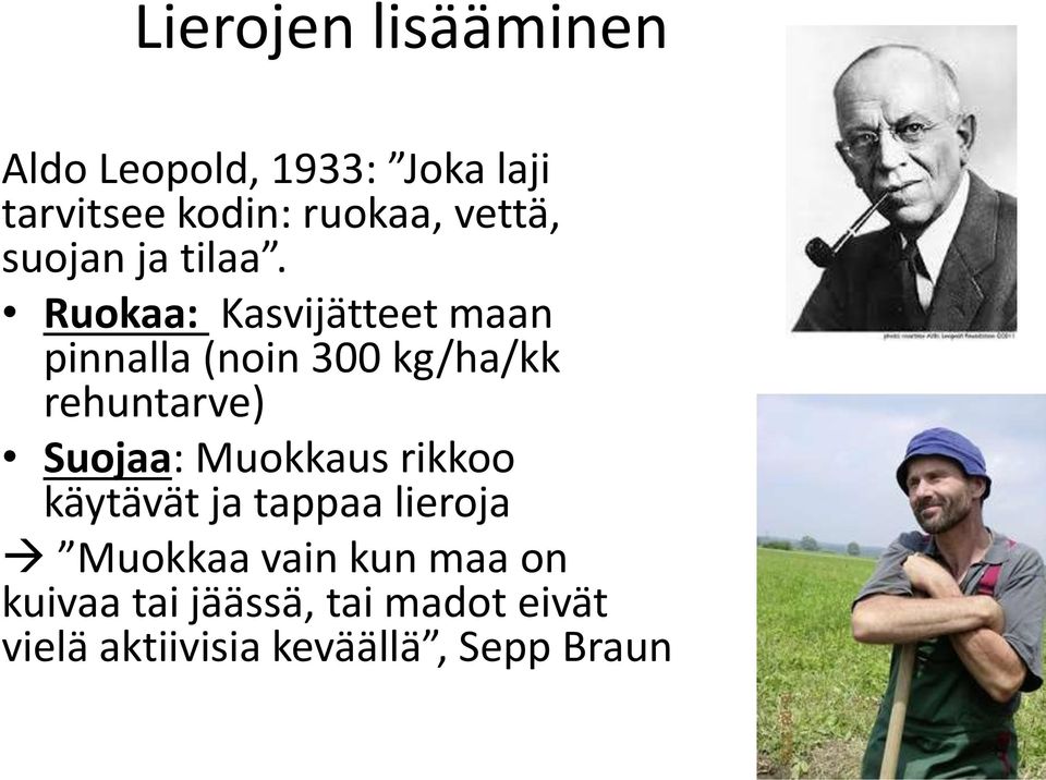 Ruokaa: Kasvijätteet maan pinnalla (noin 300 kg/ha/kk rehuntarve) Suojaa: