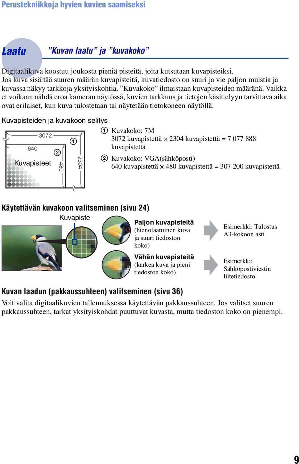 Vaikka et voikaan nähdä eroa kameran näytössä, kuvien tarkkuus ja tietojen käsittelyyn tarvittava aika ovat erilaiset, kun kuva tulostetaan tai näytetään tietokoneen näytöllä.