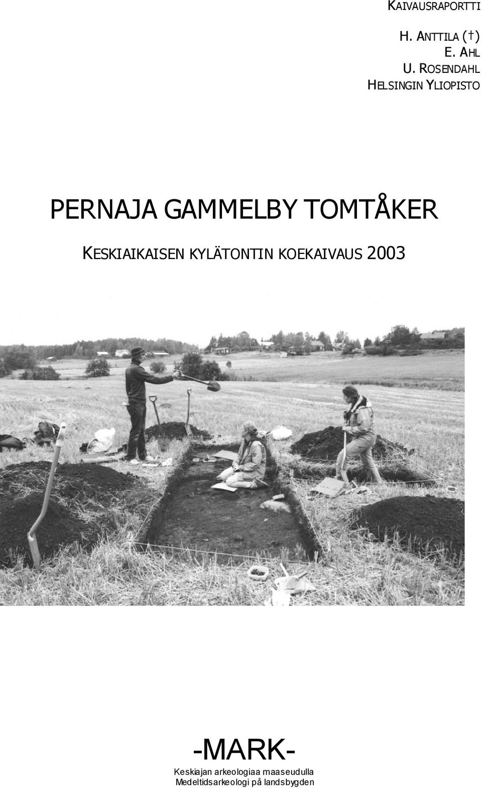 TOMTÅKER KESKIAIKAISEN KYLÄTONTIN KOEKAIVAUS 2003