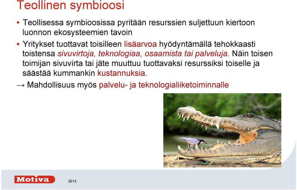 sivuvirtoja, teknologiaa, osaamista tai palveluja.