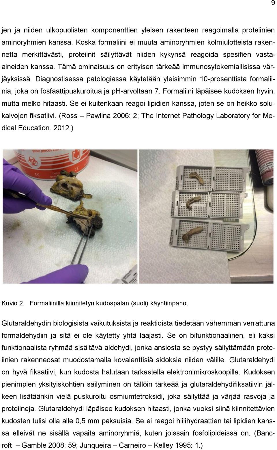 Tämä ominaisuus on erityisen tärkeää immunosytokemiallisissa värjäyksissä. Diagnostisessa patologiassa käytetään yleisimmin 10-prosenttista formaliinia, joka on fosfaattipuskuroitua ja ph-arvoltaan 7.