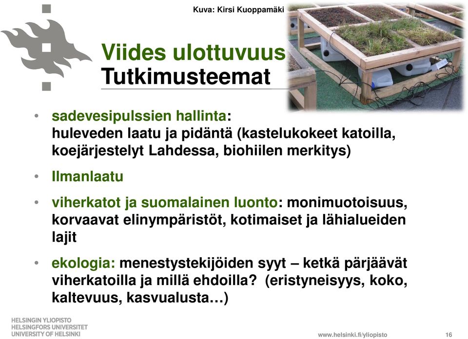 monimuotoisuus, korvaavat elinympäristöt, kotimaiset ja lähialueiden lajit ekologia: menestystekijöiden syyt ketkä