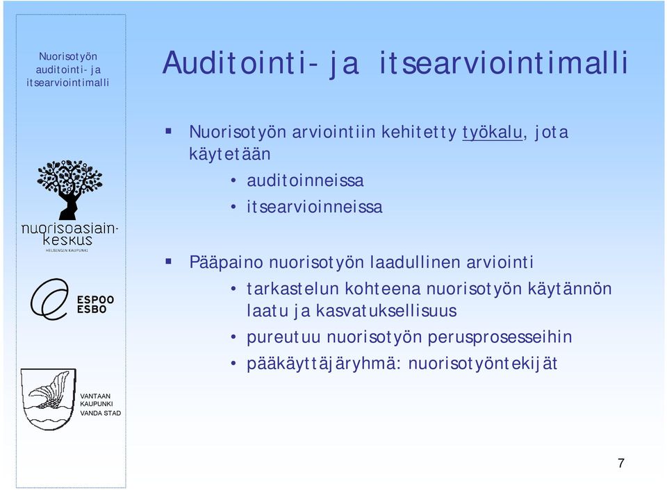 arviointi tarkastelun kohteena nuorisotyön käytännön laatu ja