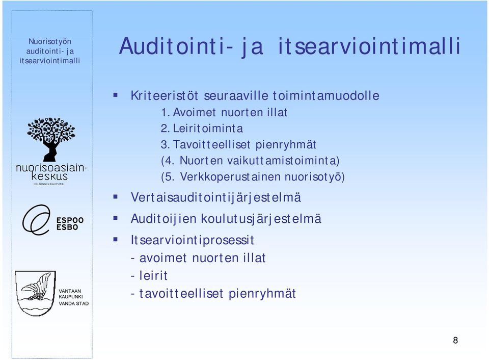 Verkkoperustainen nuorisotyö) Vertaisauditointijärjestelmä Auditoijien