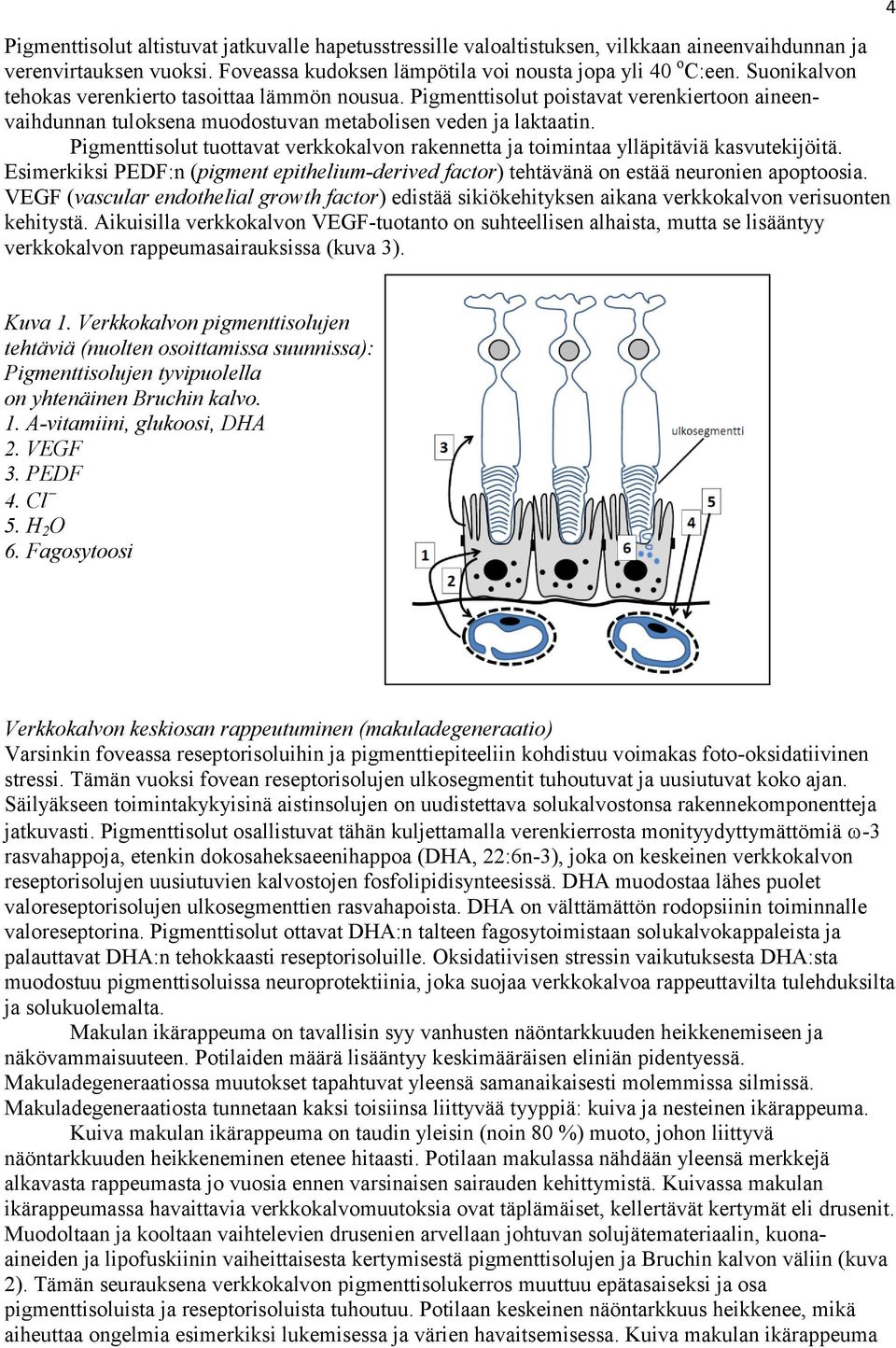 Pigmenttisolut tuottavat verkkokalvon rakennetta ja toimintaa ylläpitäviä kasvutekijöitä. Esimerkiksi PEDF:n (pigment epithelium-derived factor) tehtävänä on estää neuronien apoptoosia.