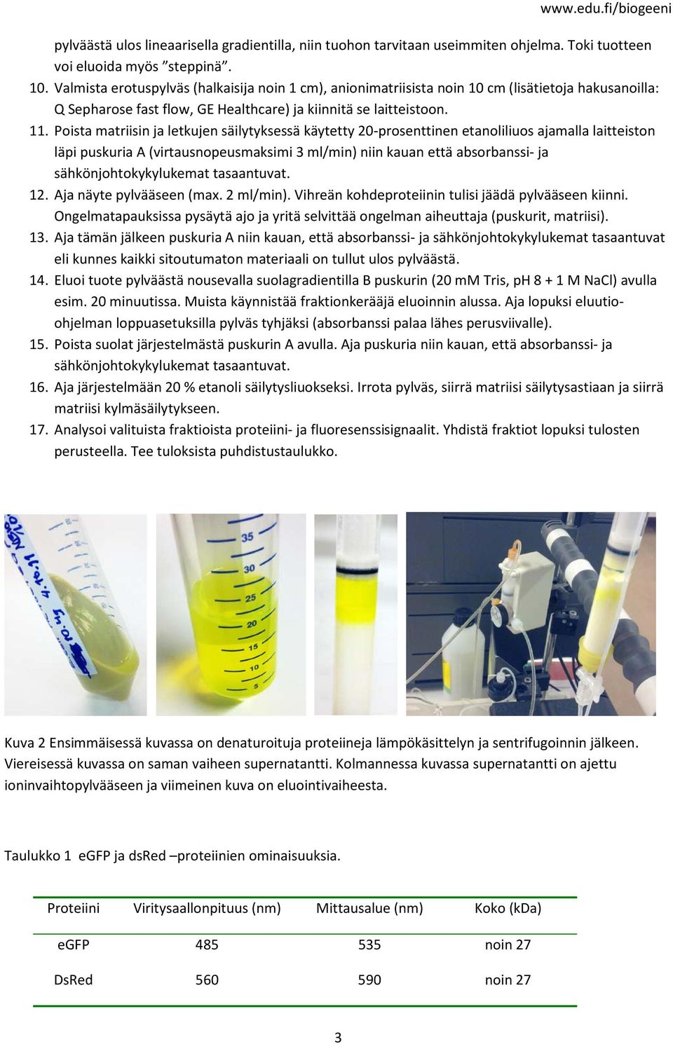 Poista matriisin ja letkujen säilytyksessä käytetty 20-prosenttinen etanoliliuos ajamalla laitteiston läpi puskuria A (virtausnopeusmaksimi 3 ml/min) niin kauan että absorbanssi- ja