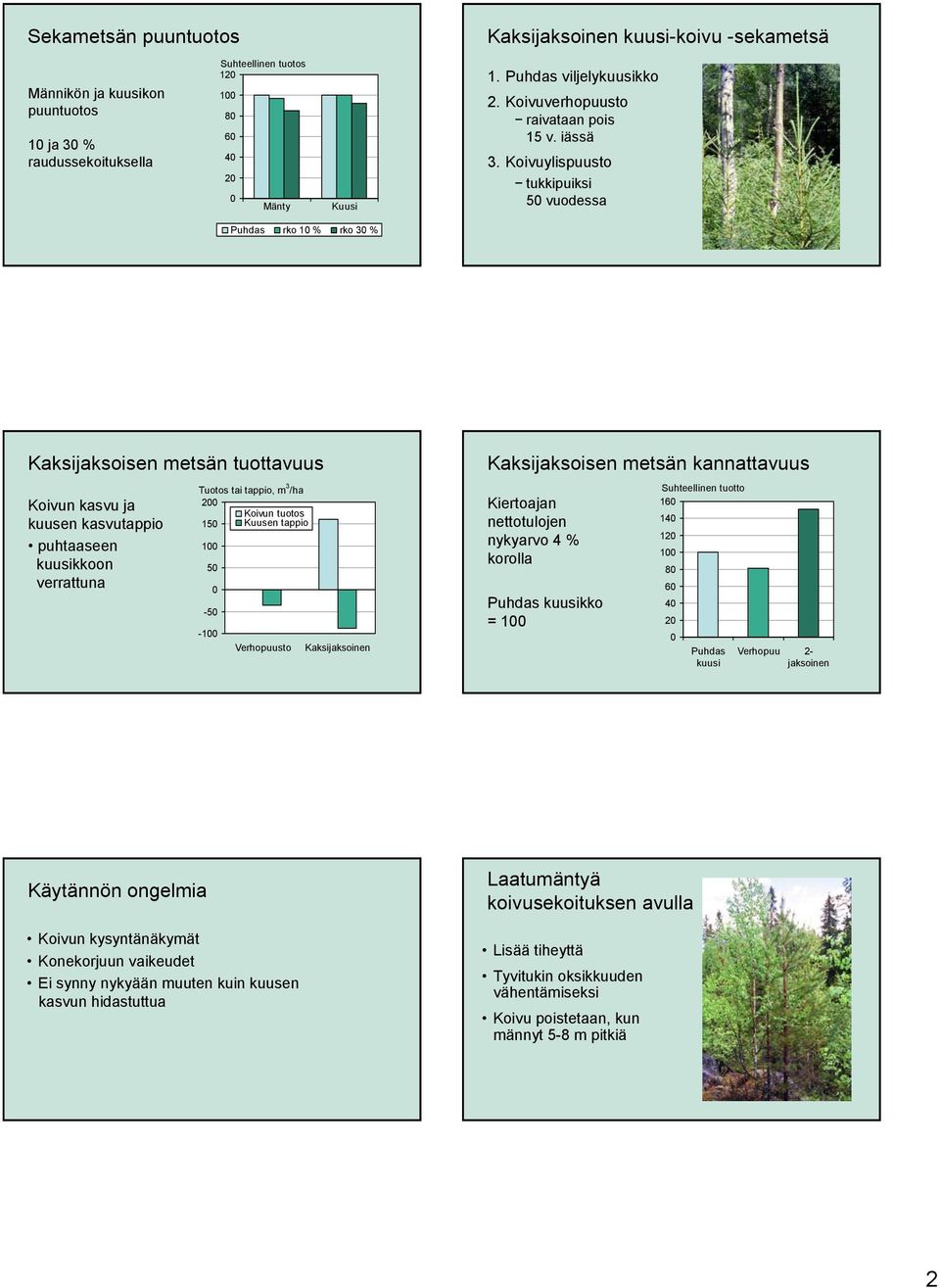 Koivuylispuusto tukkipuiksi vuodessa Puhdas rko % rko 3 % Kaksijaksoisen metsän tuottavuus Koivun kasvu ja kuusen kasvutappio puhtaaseen kuusikkoon verrattuna Tuotos tai tappio, m 3 /ha 2 Koivun