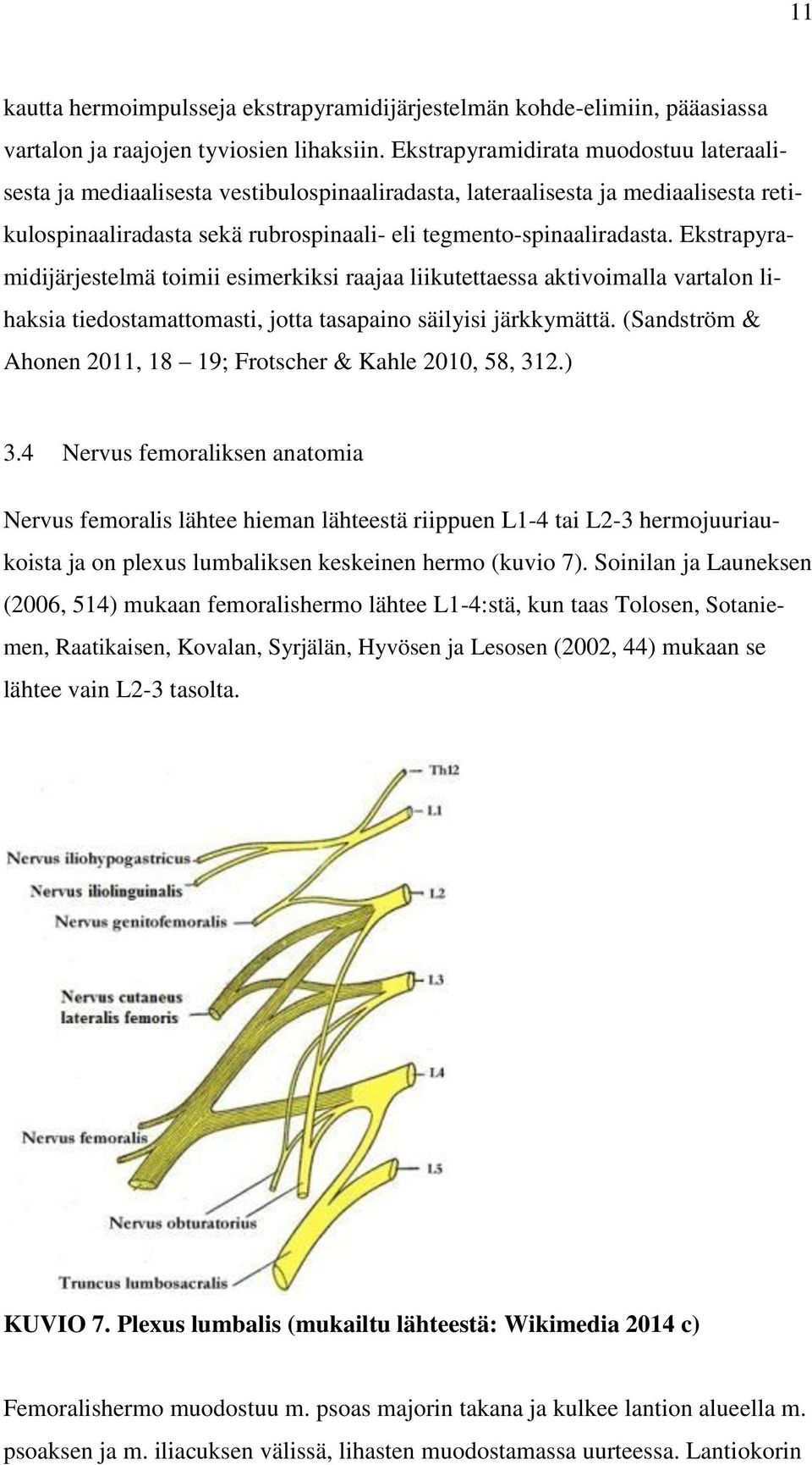 Ekstrapyramidijärjestelmä toimii esimerkiksi raajaa liikutettaessa aktivoimalla vartalon lihaksia tiedostamattomasti, jotta tasapaino säilyisi järkkymättä.