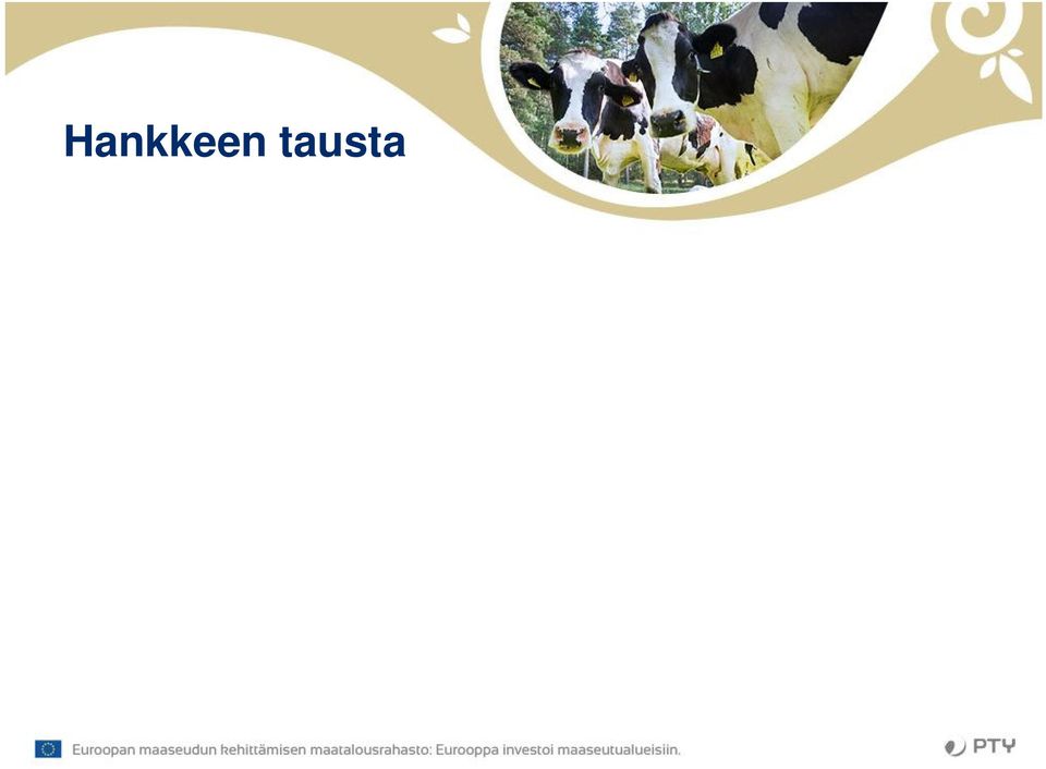 tehokkaasti Logistiikkaa ja markkinointia koskevia toimintoja mikroyritys voi joissain