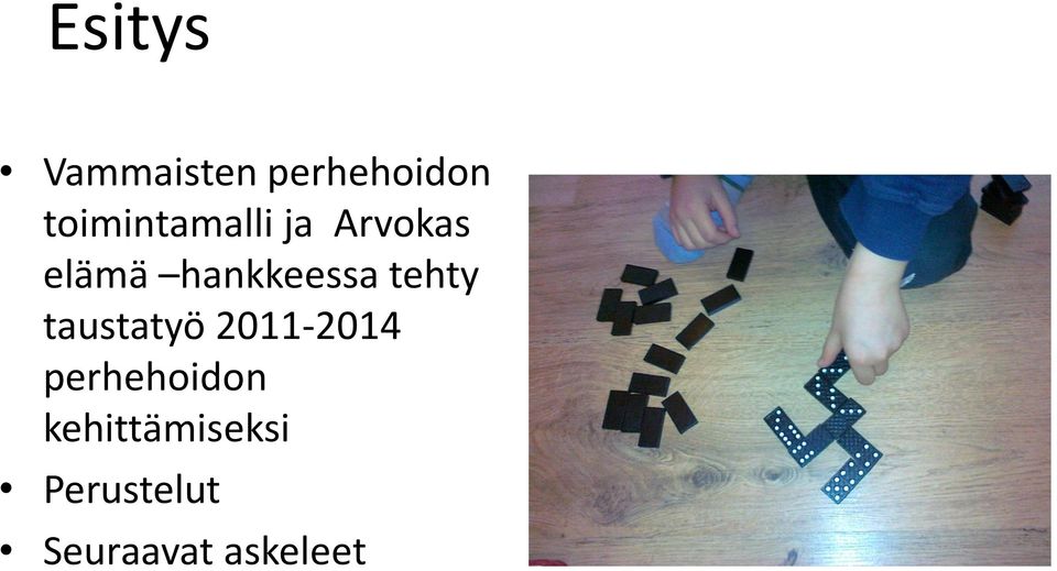 hankkeessa tehty taustatyö 2011-2014