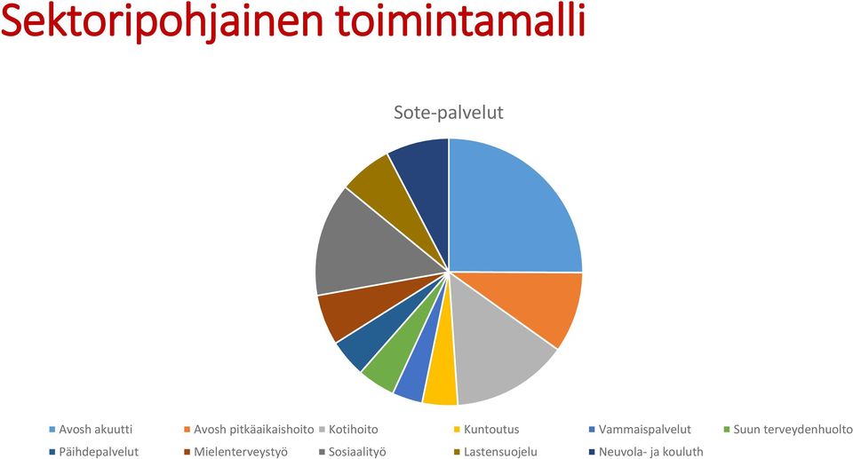 Vammaispalvelut Suun terveydenhuolto Päihdepalvelut