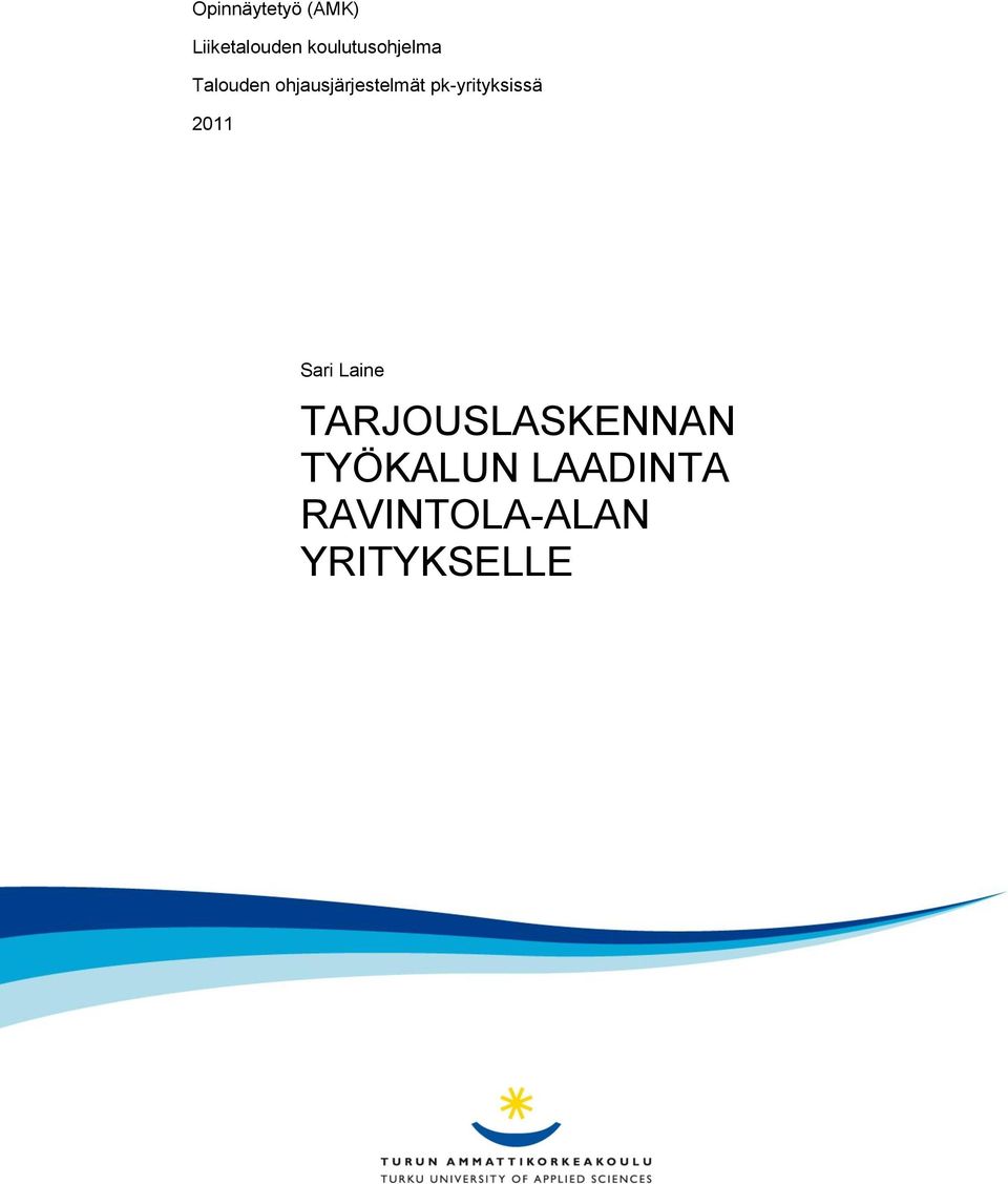 ohjausjärjestelmät pk-yrityksissä 2011