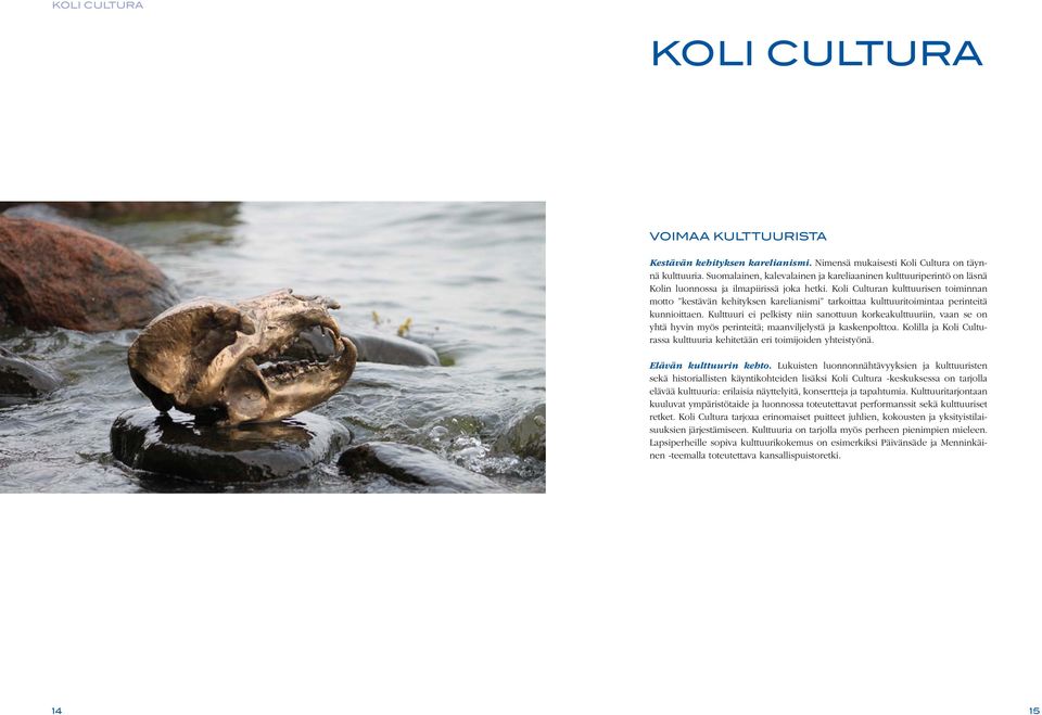 Koli Culturan kulttuurisen toiminnan motto kestävän kehityksen karelianismi tarkoittaa kulttuuritoimintaa perinteitä kunnioittaen.