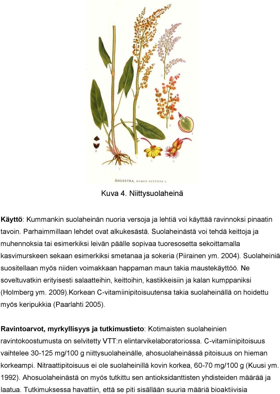 Suolaheiniä suositellaan myös niiden voimakkaan happaman maun takia maustekäyttöö. Ne soveltuvatkin erityisesti salaatteihin, keittoihin, kastikkeisiin ja kalan kumppaniksi (Holmberg ym. 2009).