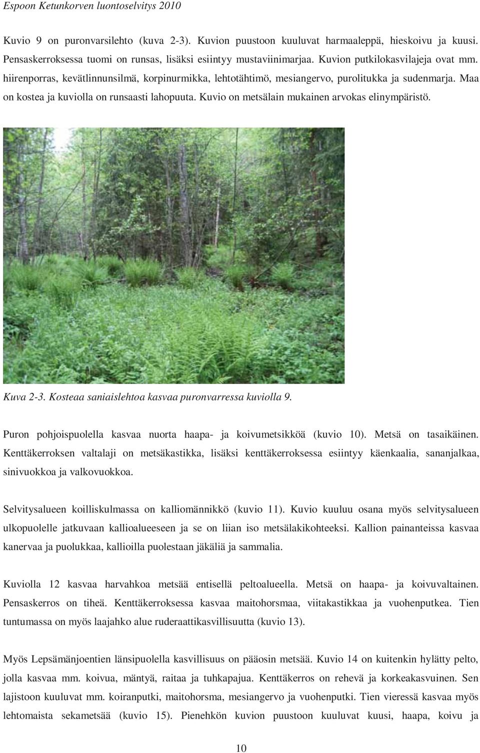 Kuvio on metsälain mukainen arvokas elinympäristö. Kuva 2-3. Kosteaa saniaislehtoa kasvaa puronvarressa kuviolla 9. Puron pohjoispuolella kasvaa nuorta haapa- ja koivumetsikköä (kuvio 10).