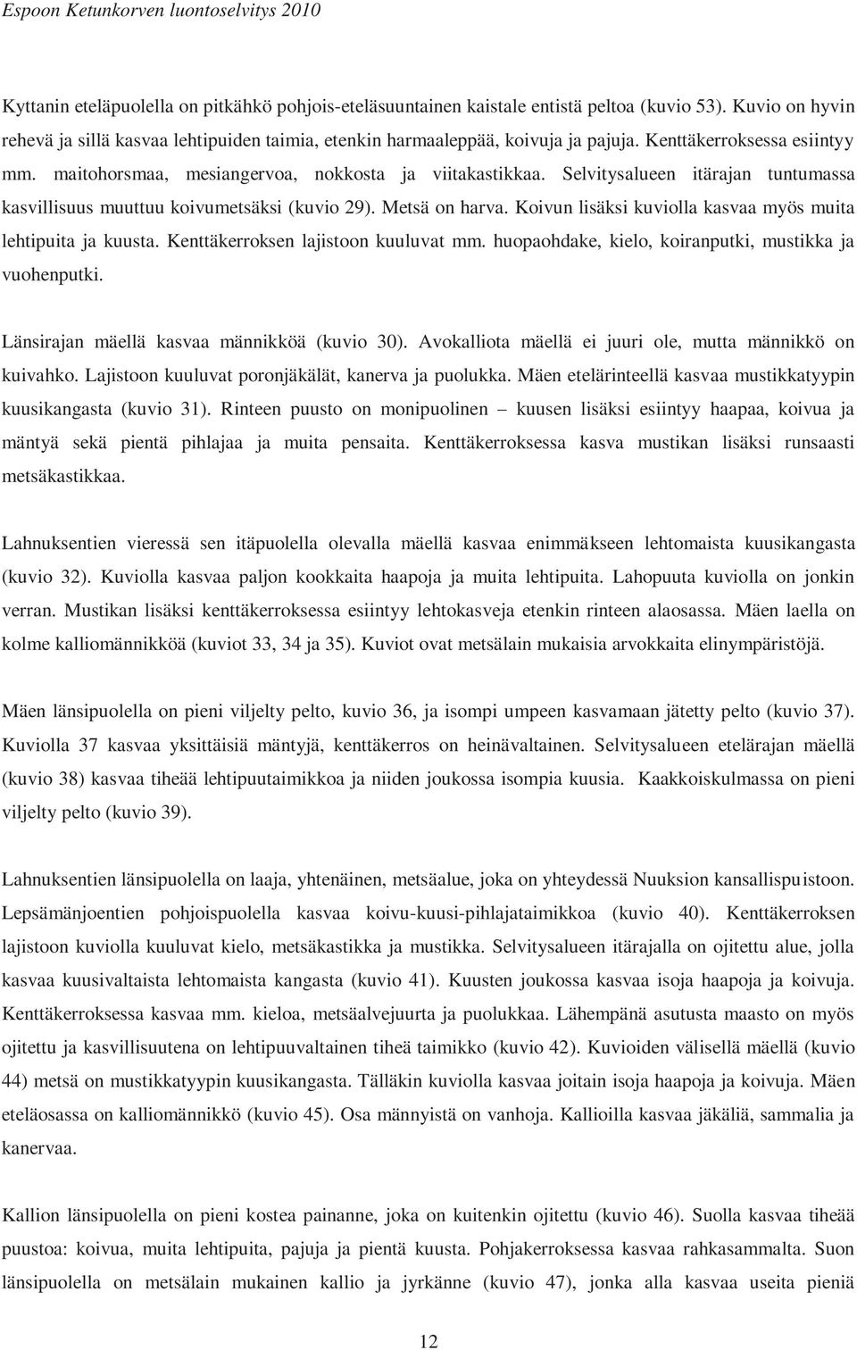 Koivun lisäksi kuviolla kasvaa myös muita lehtipuita ja kuusta. Kenttäkerroksen lajistoon kuuluvat mm. huopaohdake, kielo, koiranputki, mustikka ja vuohenputki.