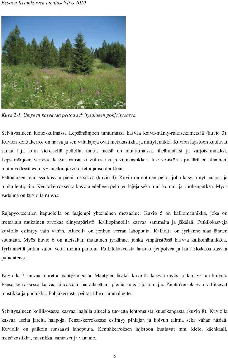 Kuvion lajistoon kuuluvat samat lajit kuin viereisellä pellolla, mutta metsä on muuttumassa tiheämmäksi ja varjoisammaksi. Lepsämänjoen varressa kasvaa runsaasti viiltosaraa ja viitakastikkaa.
